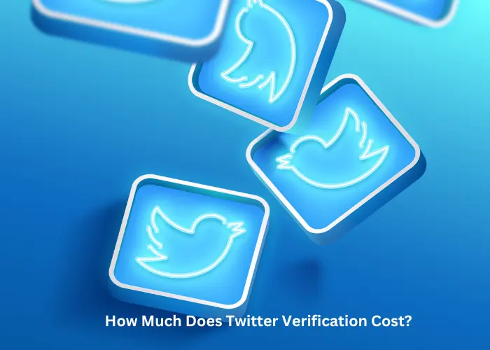 How Much Does Twitter Verification Cost?