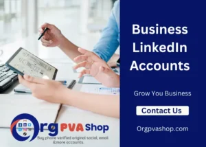 LinkedIn Business Accounts