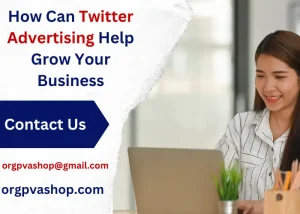 Twitter Advertising